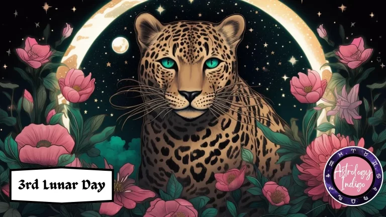 A Leopard sits in front of the moon and stars surrounded by pink flowers