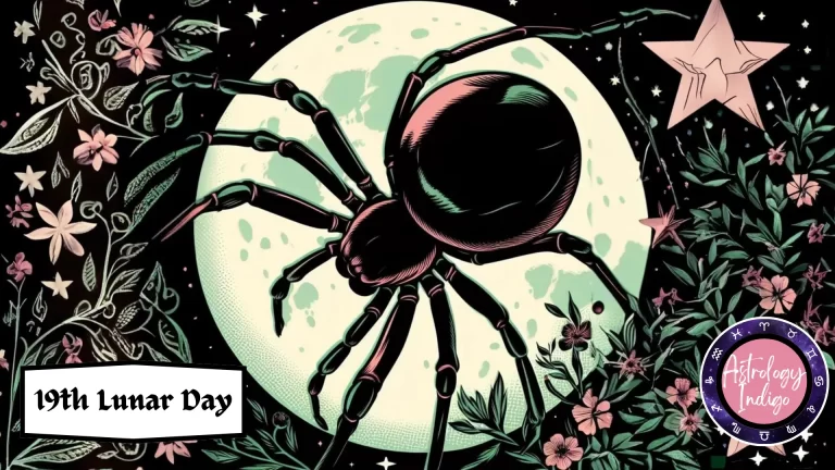 A spider weaves a web in front of a giant moon among flowers and stars