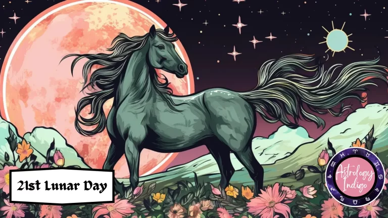 A black horse is in a field of flowers in front of the stars and moon